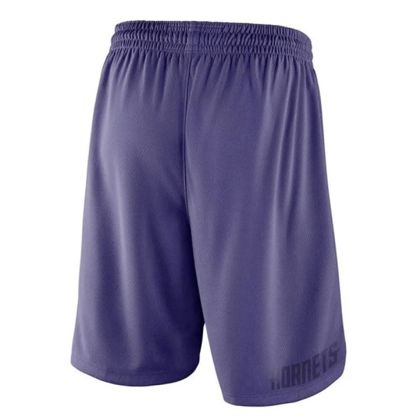 Фиолетовые баскетбольные шорты Jordan Charlotte Hornets-в-time2win.ru