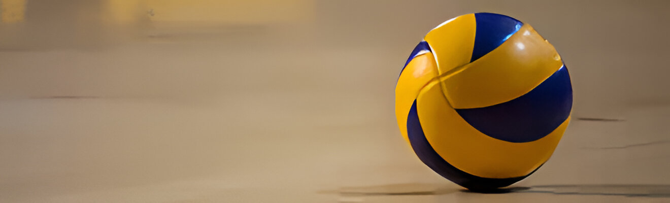 Волейбольные кроссовки